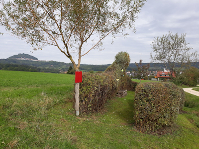 Blick auf Hohenstaufen und Ottenbach Blick auf Hohenstaufen und Ottenbach