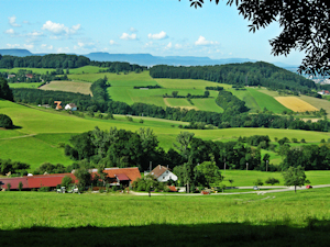 Blick über Haldenhof zum Albtrauf
